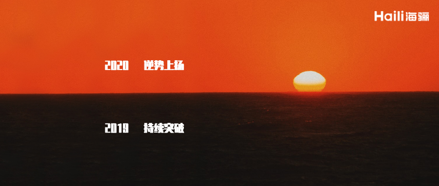 海骊：2019持续突破，2020逆势上扬